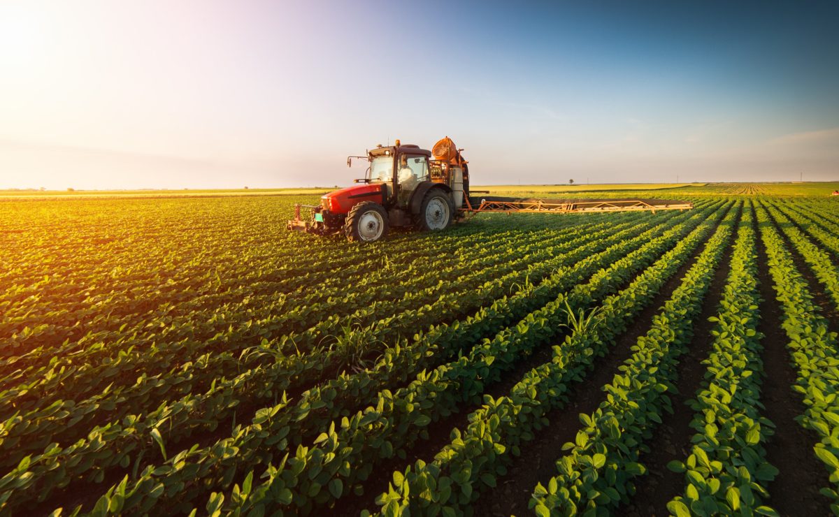Agriculture Insurance